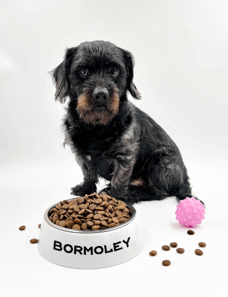 Miska pro Psa s Vlastním Potiskem | 2 v 1 Nerezové Dno