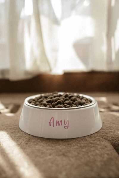 Miska pro Psa s Vlastním Potiskem | 2 v 1 Nerezové Dno