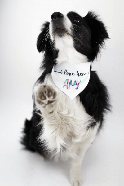 Šátek pro Psa s Vlastním Potiskem 32 - 38 cm | Vytvoř si šátek