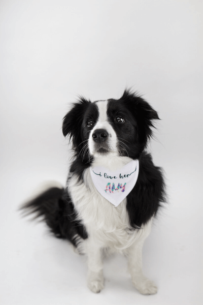 Šátek s Vlastním Potiskem pro Psa na Suchý Zips 45 - 60 cm