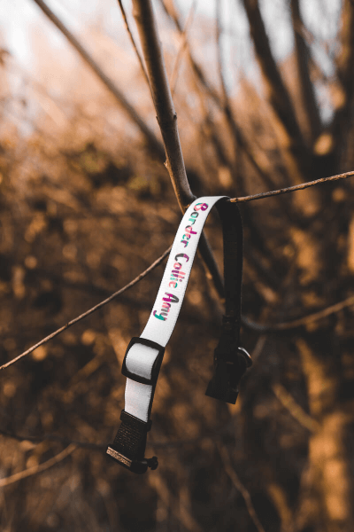 PUPPY Přizpůsobitelný Psí Obojek s Vlastním Potiskem (S)