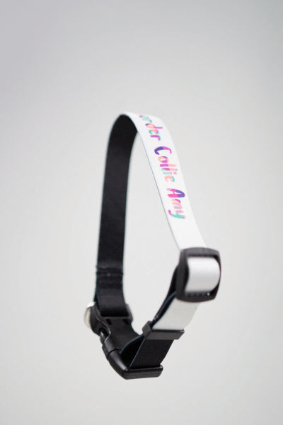 Vlastní Potisk na Obojek pro Psa | Puppynator.cz