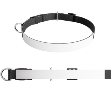 Weiß - Vorderer Teil