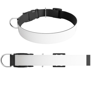 Weiß - Vorderer Teil