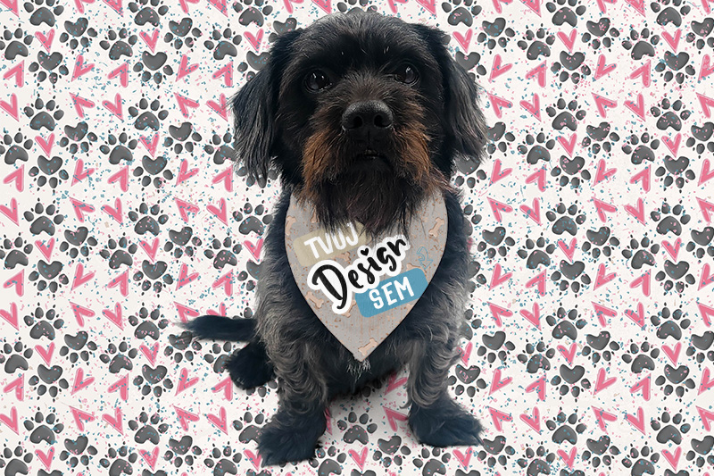 Potisk na šátek pro psa nebo kočku - puppynator.cz